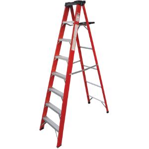 54366771
