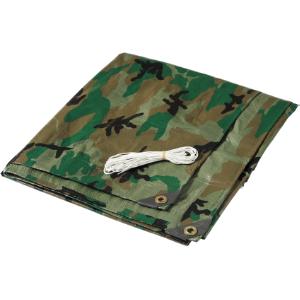 54727311